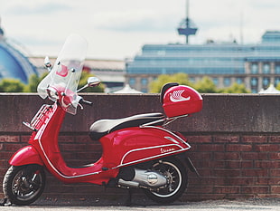 red and white motor scooter