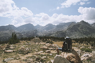black hiking backpack, nature, landscape, stones, trees HD wallpaper