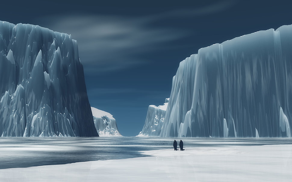 two penguins standing on ice field, landscape HD wallpaper