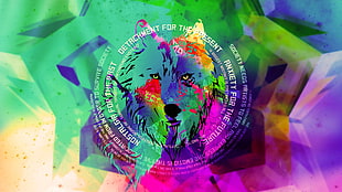 assorted-color wolf digital wallpaepr, wolf, abstract, colorful