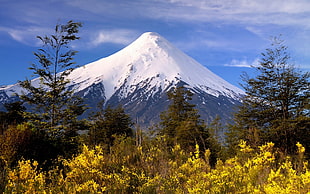 snow capped mountain, snowy peak, volcano, mountains, Chile