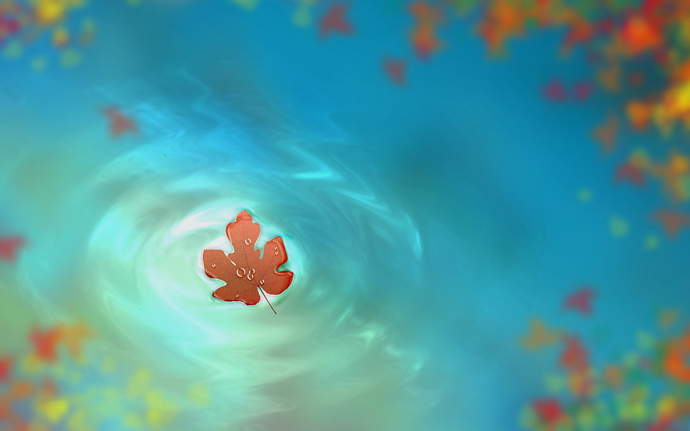 red leaf illustration, artwork, water, leaves HD wallpaper