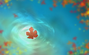 red leaf illustration, artwork, water, leaves