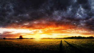 panoramic photo of open field under grey clouds photo taken during golden hour HD wallpaper