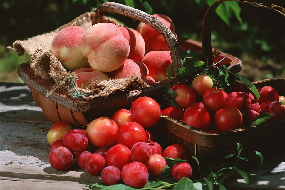 bunch of tomato and apple on basket HD wallpaper