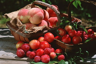 bunch of tomato and apple on basket