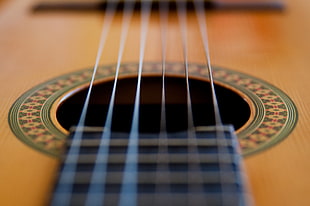 Macro Shot photography of acoustic guitar strings HD wallpaper