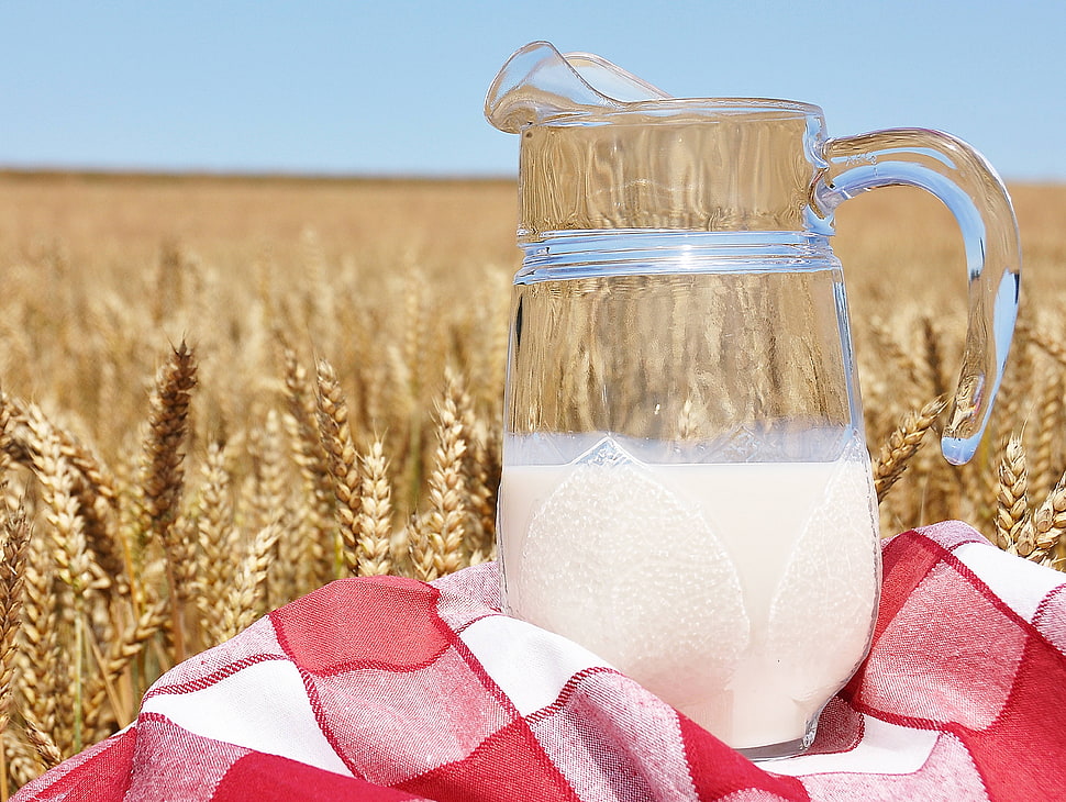 clear glass pitcher on red and white plaid blanket HD wallpaper