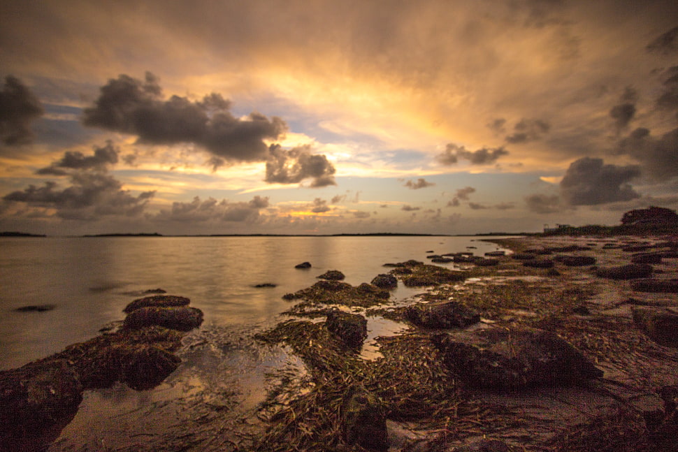 seashore under cloud covered blue sky HD wallpaper