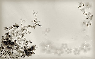 floral border illustration, artwork, flowers, digital art, monochrome HD wallpaper