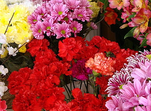 pink, red, and yellow carnation and chrysanthemum flowers