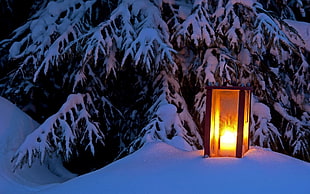 brown wooden framed clear glass lamp beside pine tree covered with snow