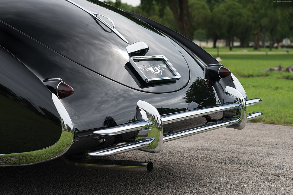close up photo of classic black Bentley car HD wallpaper