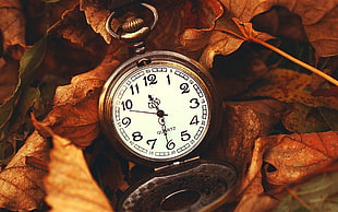 round silver Quartz analog pocket watch on dried leaves
