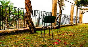 brown and black metal armless chair, nature, broken, chair, leaves HD wallpaper