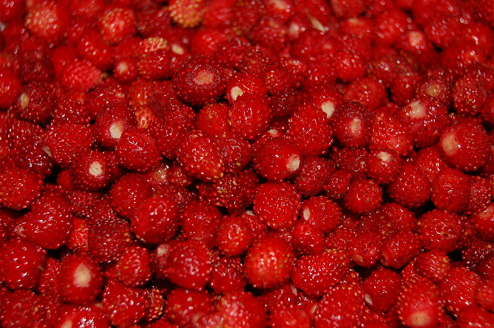 raspberries HD wallpaper