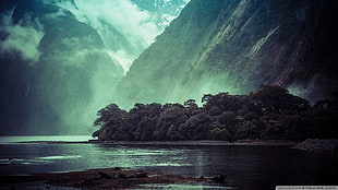 green leafed trees, landscape, mountains, cliff, lake