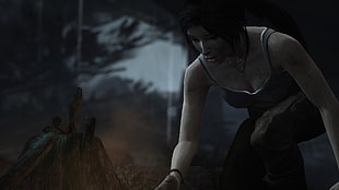 videogame application screenshot, Tomb Raider