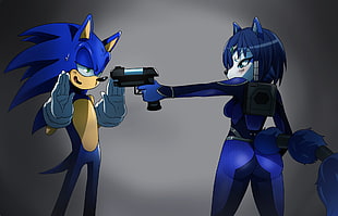 Sonic the Hedgehog character, Sonic, Sonic the Hedgehog, Star Fox, Krystal HD wallpaper