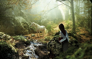 white unicorn on forest