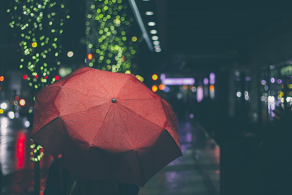 red and white star print textile, umbrella HD wallpaper