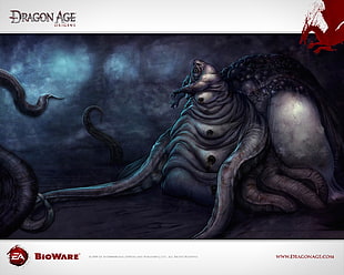 Dragon Age digital wallpaper, Dragon Age, Dragon Age: Origins, Broodmother HD wallpaper