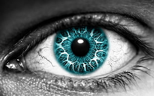 human blue and black eye, eyes, blue eyes
