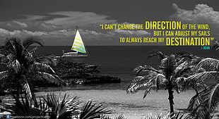 black coconut trees with yellow text overlay, quote, selective coloring, artwork, text