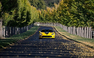 yellow sports car, Dodge Viper, car, yellow cars, road
