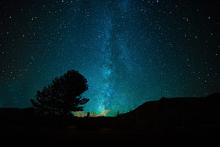 silhouette of a tree and star in the sky during night time HD wallpaper
