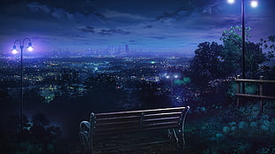 painting of gray bench, night, Los Angeles, bench, city