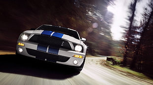 white and blue Ford Mustang Cobra HD wallpaper