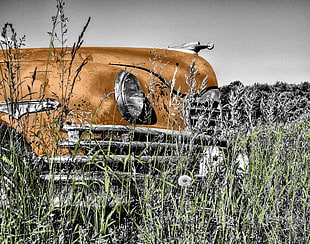 brown classic car on sorounded by green grass