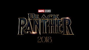 2018 Black Panther Movie