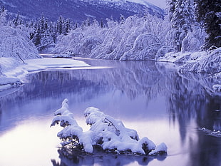 landscape photo of frozen river