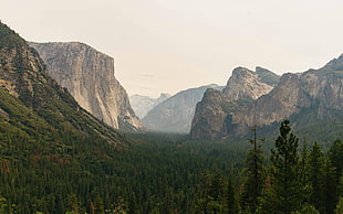 El Capitan summit, California, mountains, trees, forest