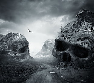 three skulls, nature, landscape, dirtroad, death