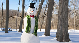 snowman with green scarf near black trees