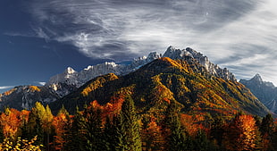 mountain alps, nature, mountains, forest, fall HD wallpaper