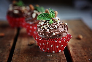 focus photography of chocolate cupcake