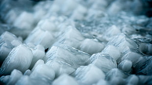 closeup photo of ice, nature, filter, photography, ice