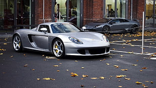 silver sport car, Porsche Carrera GT, car