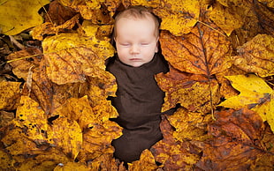 baby on brown leaf photo