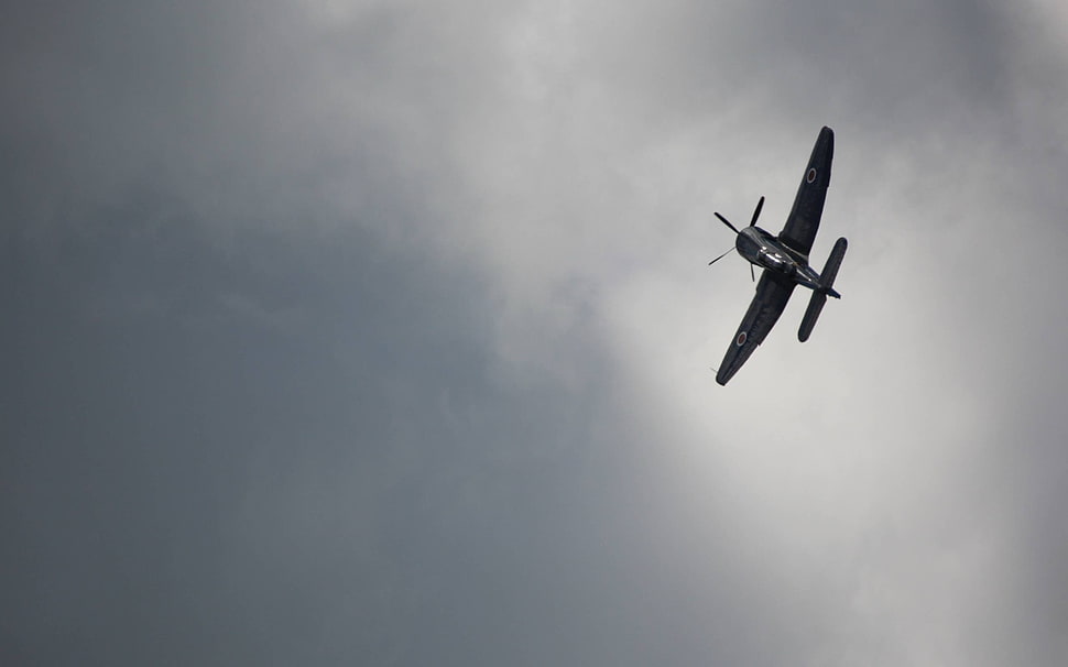 black propeller plane, Seafury, propeller HD wallpaper