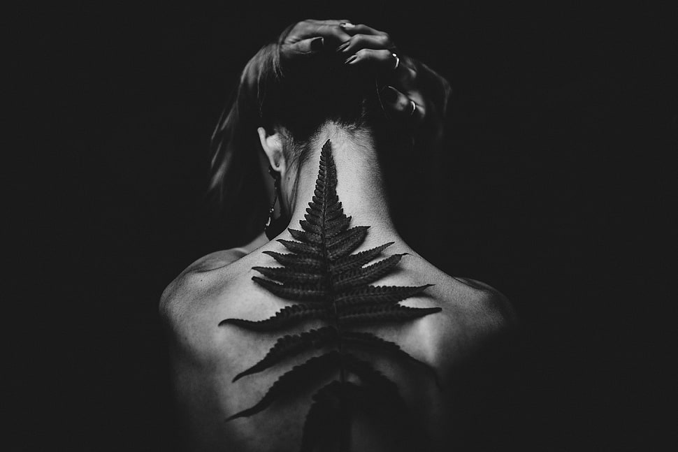 grayscale leaf tattoo, Back, Leaf, Bw HD wallpaper