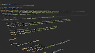 computer script