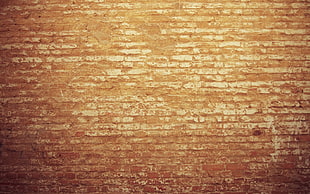 brown concrete wall bricks