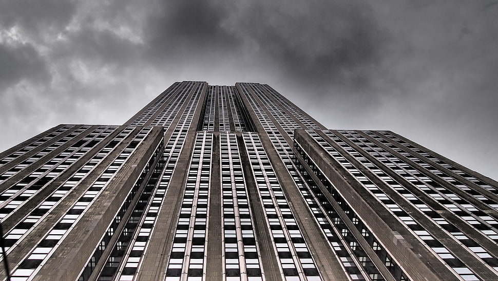 low angle photography of a high-rise building HD wallpaper