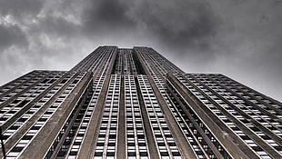 low angle photography of a high-rise building