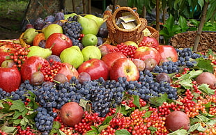 bunch of assorted fruits